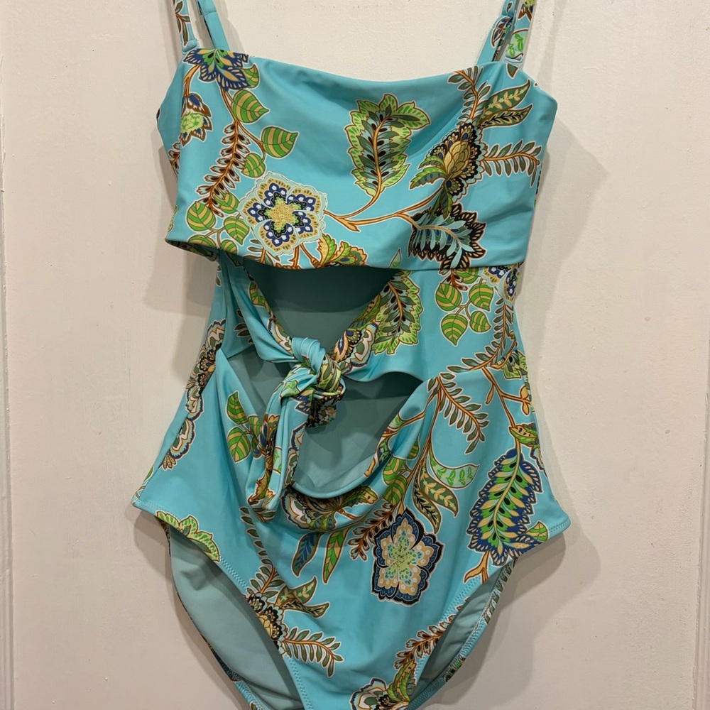 aerie Plunge One-Piece Swimsuit